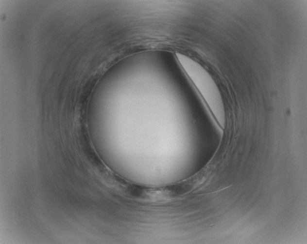 X0000072950221200607210940