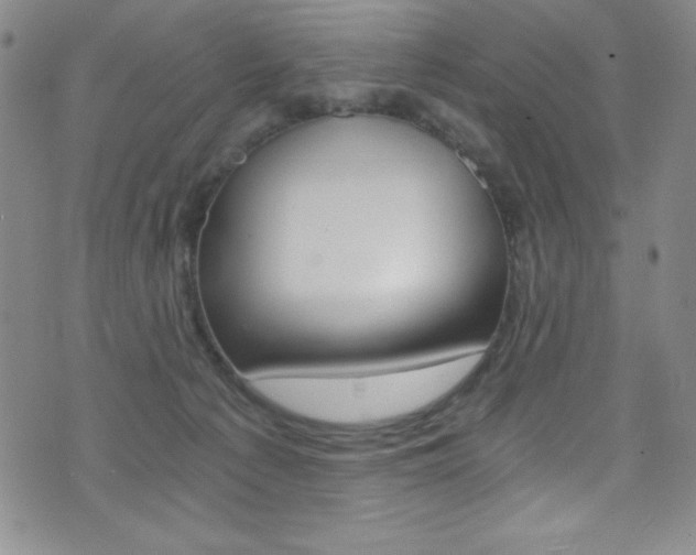 X0000072950225200607210940