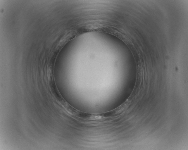 X0000072950227200607210940