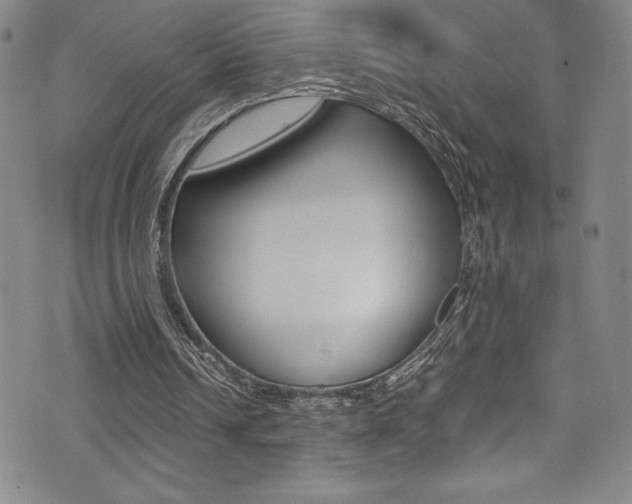 X0000072950242200607210939