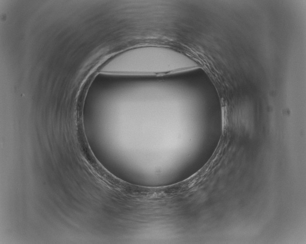 X0000072950243200607210939
