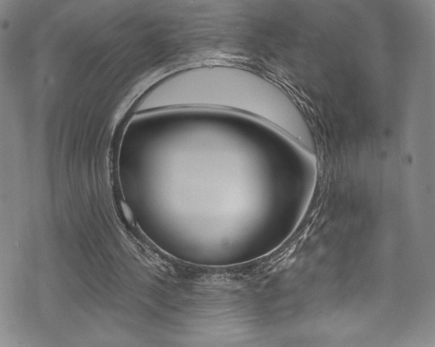 X0000072950244200607210939