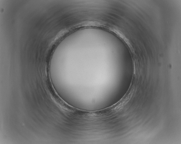 X0000072950253200607210939