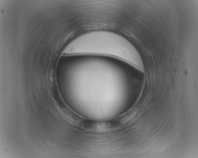 X0000072950264200607210939