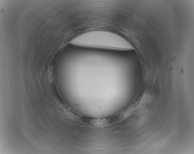 X0000072950273200607210939