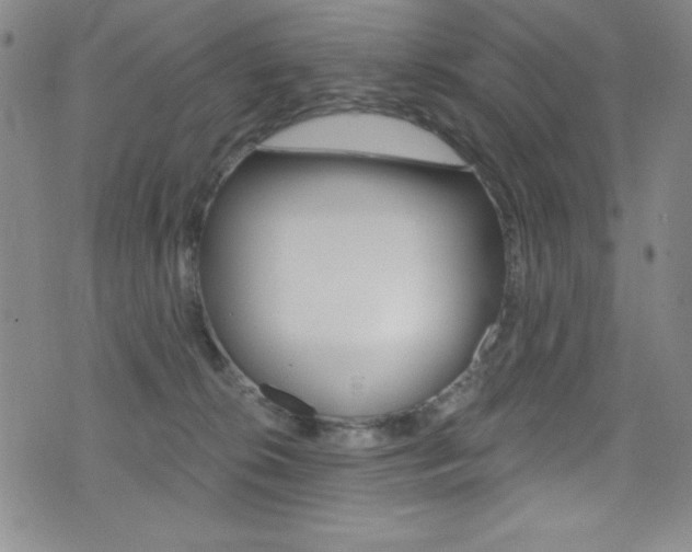 X0000072950276200607210939