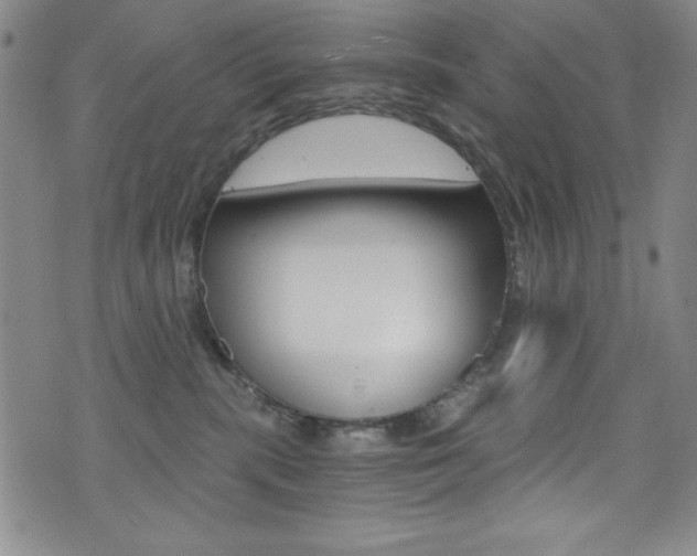 X0000072950283200607210940