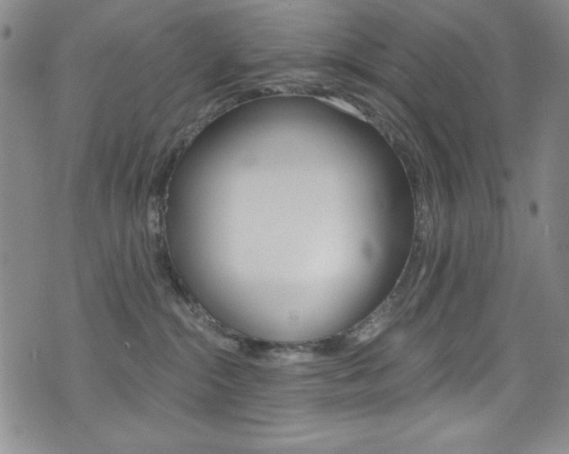 X0000072950284200607210940