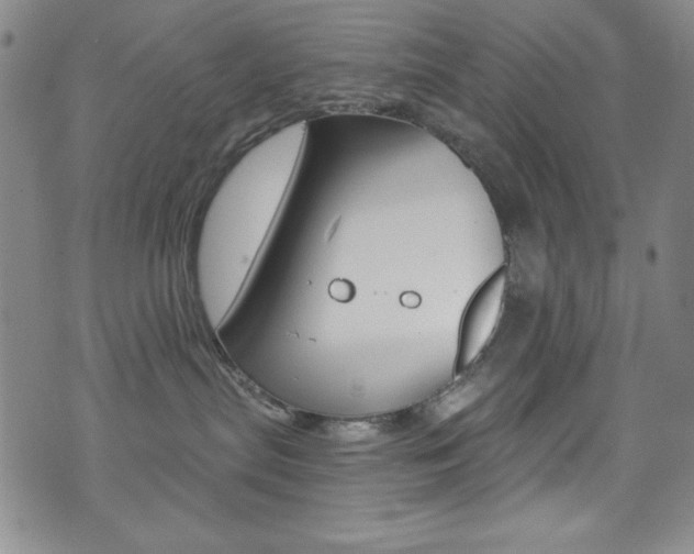 X0000072950287200607210940