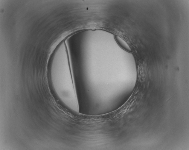 X0000072950292200607210939