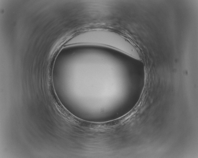 X0000072950293200607210939