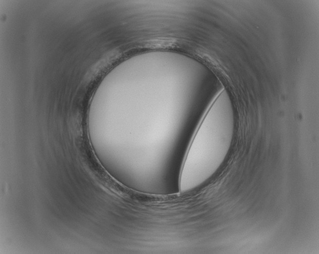 X0000072950303200607210939