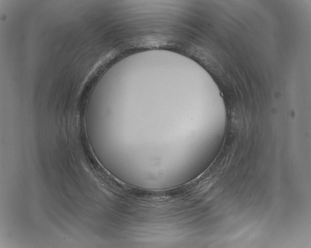 X0000072950304200607210939