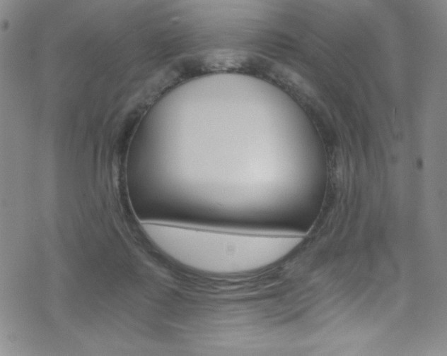 X0000072950315200607210938