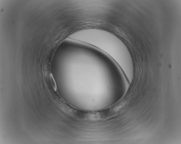 X0000072950317200607210938