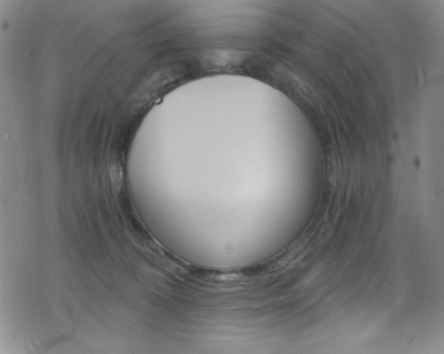 X0000072950324200607210938