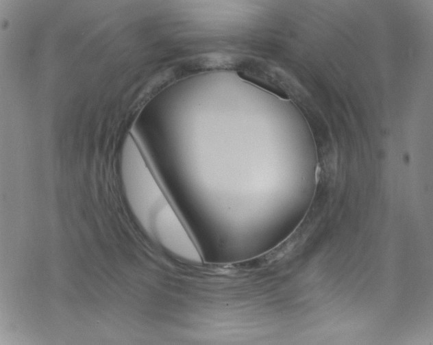 X0000072950325200607210938