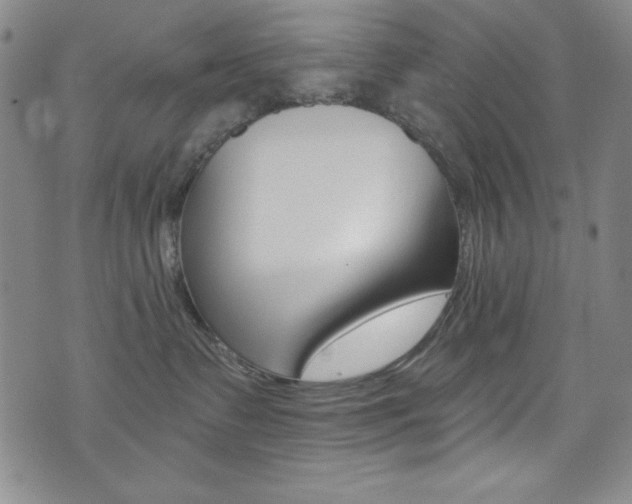X0000072950335200607210938