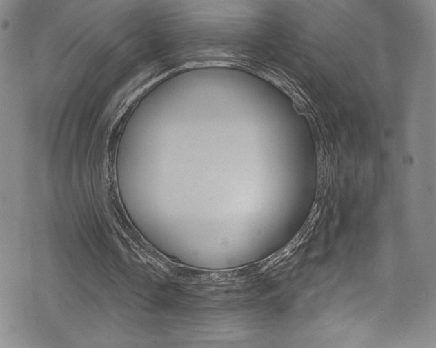 X0000072950338200607210937