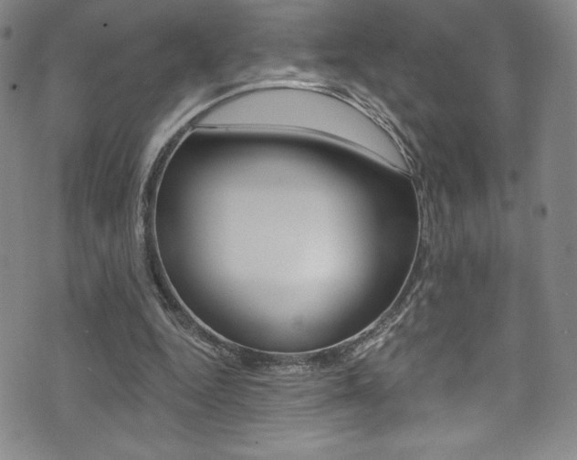 X0000072950344200607210937