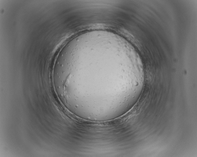 X0000072950347200607210938