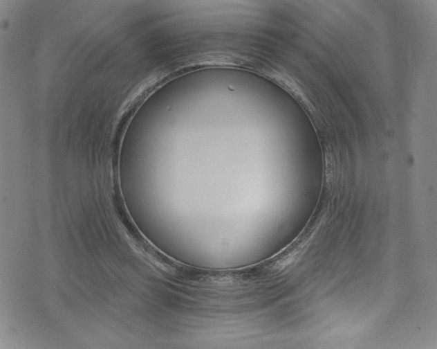 X0000072950349200607210938