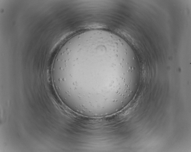 X0000072950351200607210938