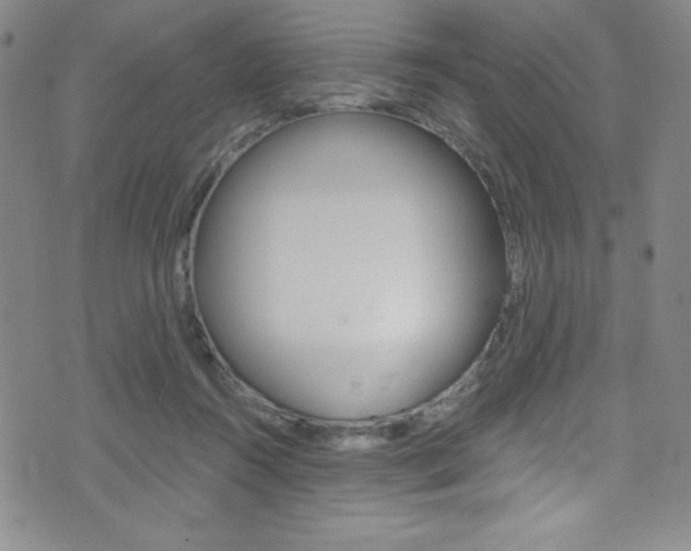 X0000072950360200607210938
