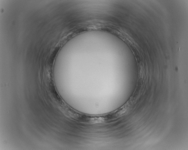 X0000072950363200607210938