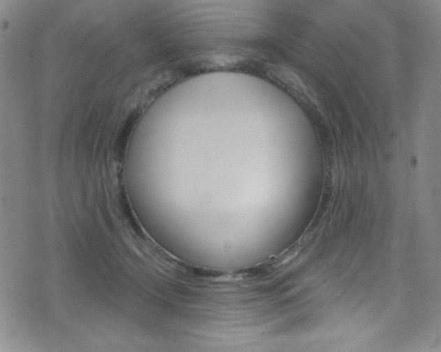 X0000072950366200607210938