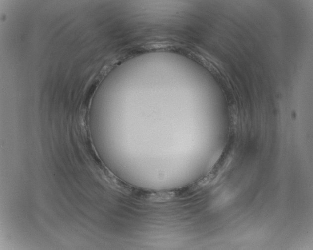X0000072950373200607210938
