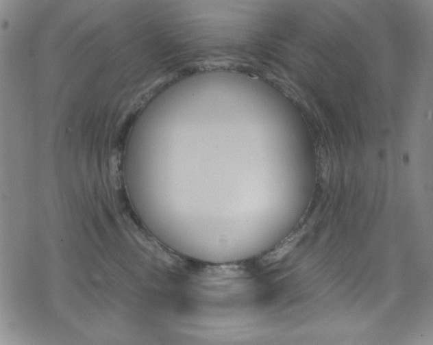X0000072950378200607210938