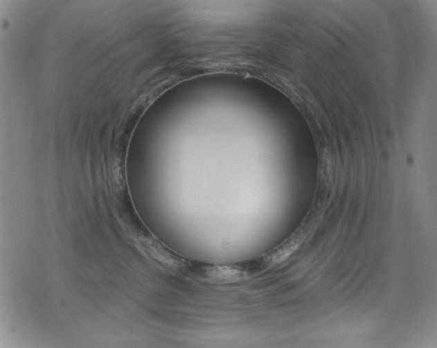 X0000072950380200607210938