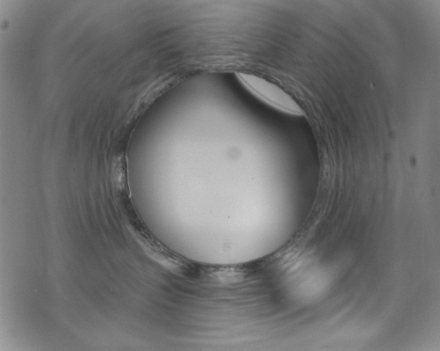 X0000072950383200607210938