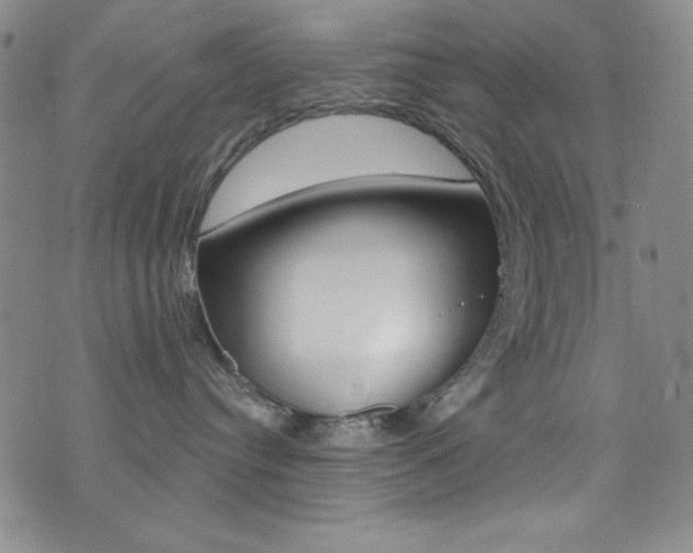 X0000072950384200607210938