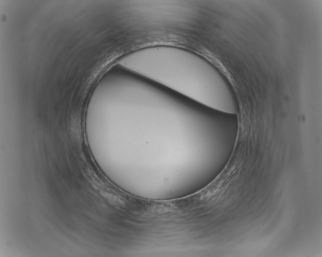 X0000072950386200607210937