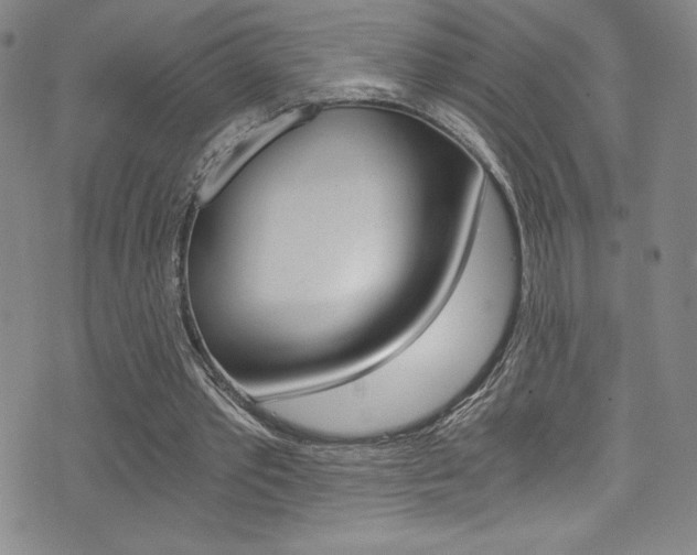 X0000072950389200607210937