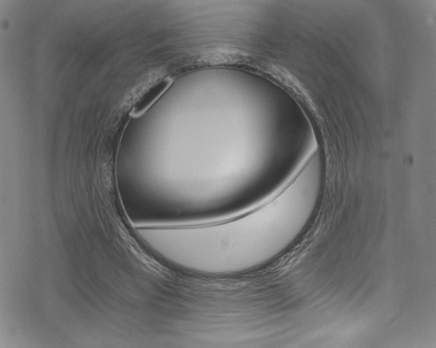 X0000072950393200607210937