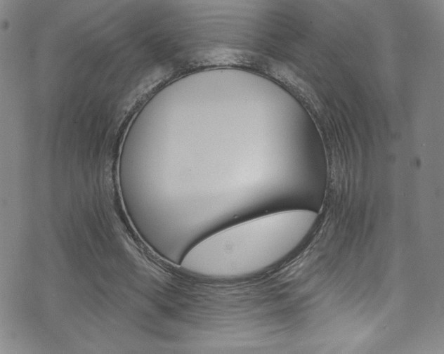 X0000072950394200607210937