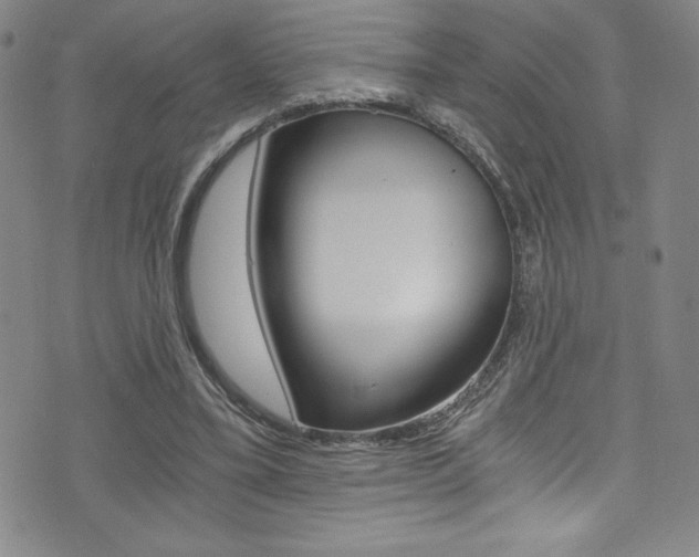 X0000072950395200607210937