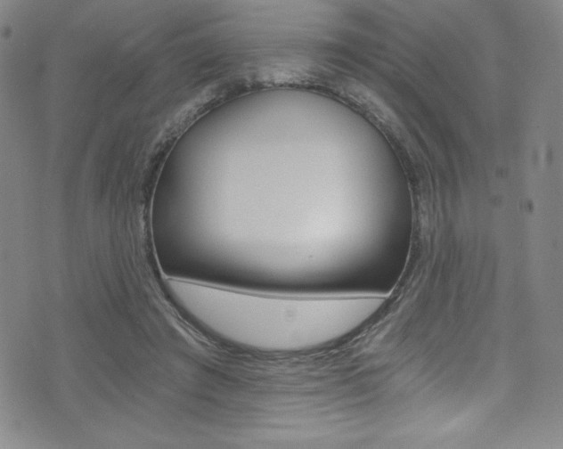 X0000072950401200607210937