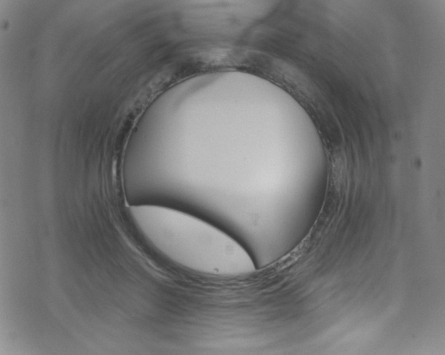 X0000072950406200607210937