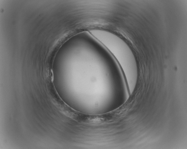 X0000072950407200607210937