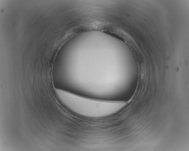 X0000072950409200607210937