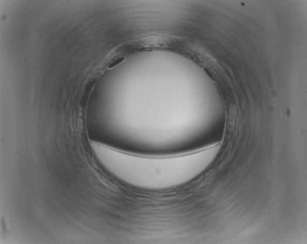 X0000072950413200607210937