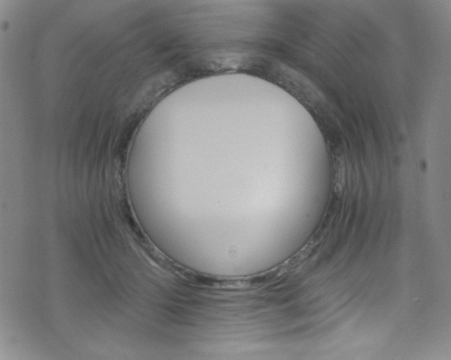 X0000072950414200607210937
