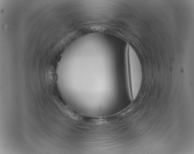 X0000072950424200607210937