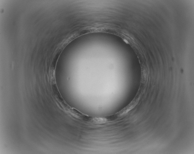 X0000072950429200607210937