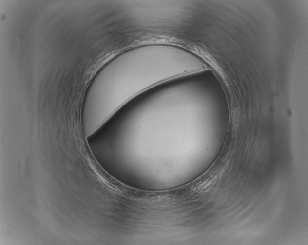X0000072950433200607210936