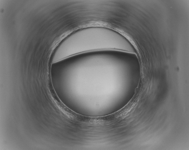 X0000072950437200607210936